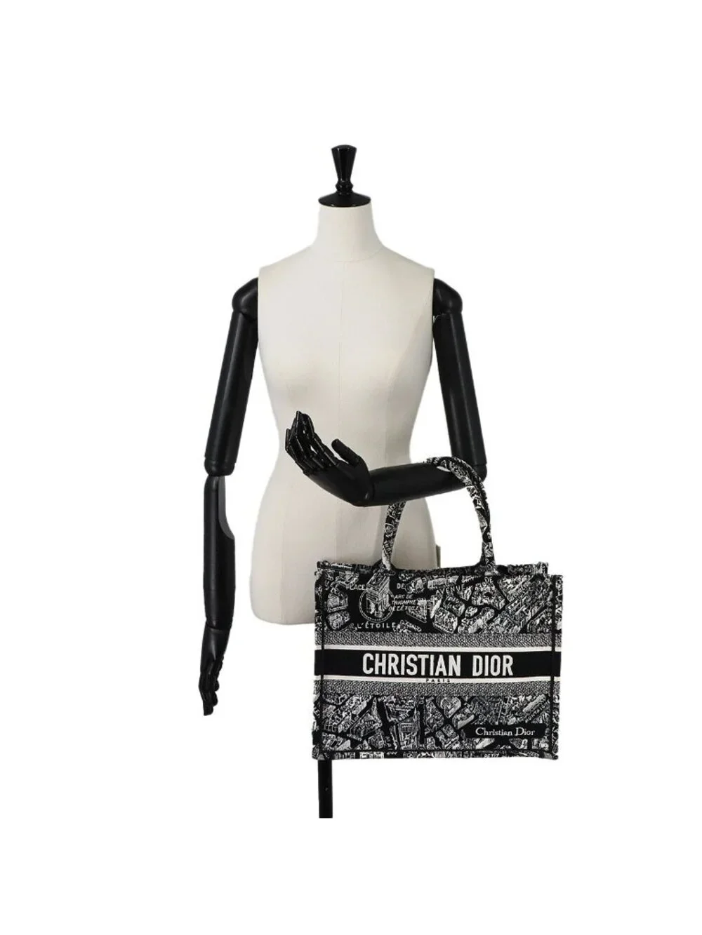 Dior Plan de Paris Book Tote Medium Canvas Black